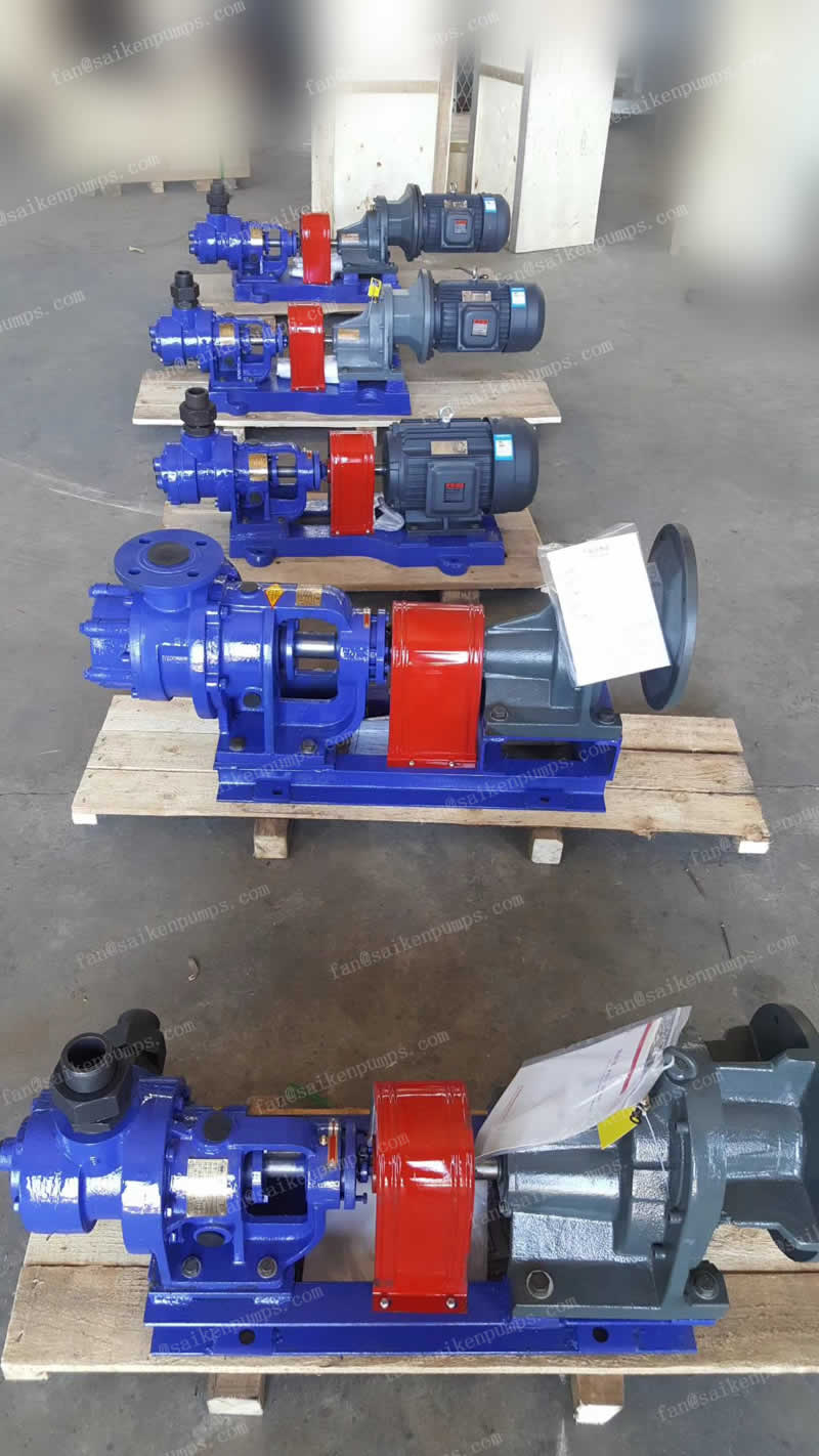 NYP SS Rotary Pump