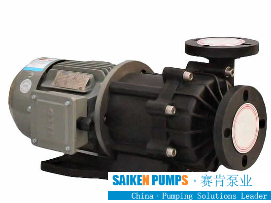 SS magnetic pump