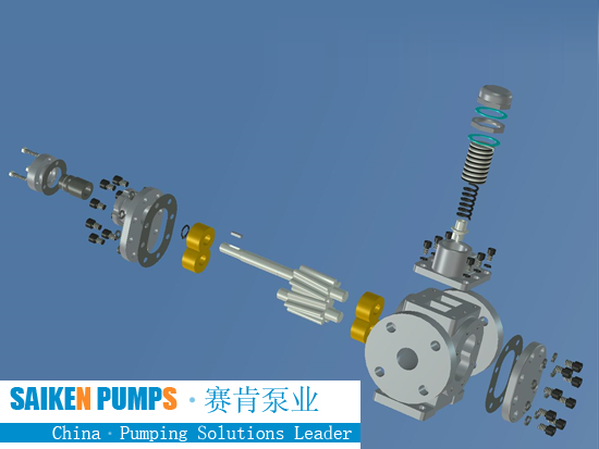 SS gear pump