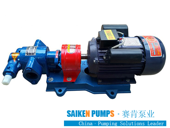 gear pump from china