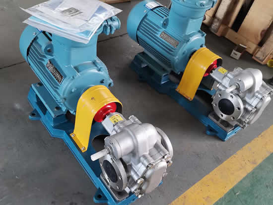 Stainless Steel Rotary Gear Pumps for Shampoo