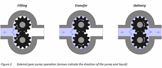 SS gear pump