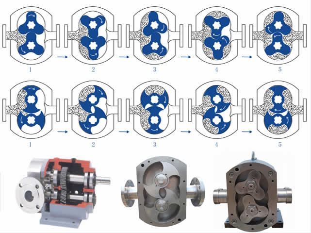 Stainless steel food grade rotary lobe pump