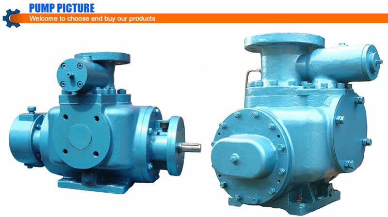 Bornemann Twin Screw Pump