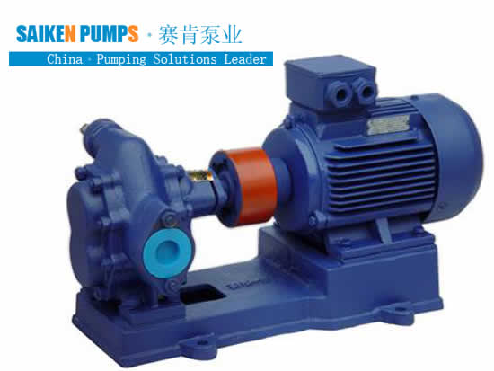 https://www.saikenpumps.com/uploads/allimg/181030/1-1Q030141937.jpg